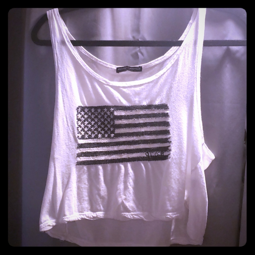 (2/$20)Brandy melville american flag crop top
